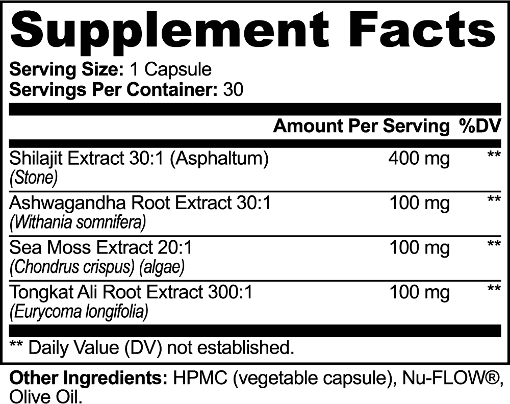 AXIS⁰¹ – Adaptogenic Performance Complex | Shilajit + Ashwagandha + Tongkat Ali - AMZA⁰¹