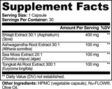AXIS⁰¹ – Adaptogenic Performance Complex | Shilajit + Ashwagandha + Tongkat Ali - AMZA⁰¹